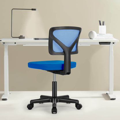 Sweetcrispy Desk Chair with Lumbar Support for Office