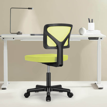 Sweetcrispy Desk Chair with Lumbar Support for Office
